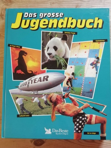 Das große jugendbuch - große,