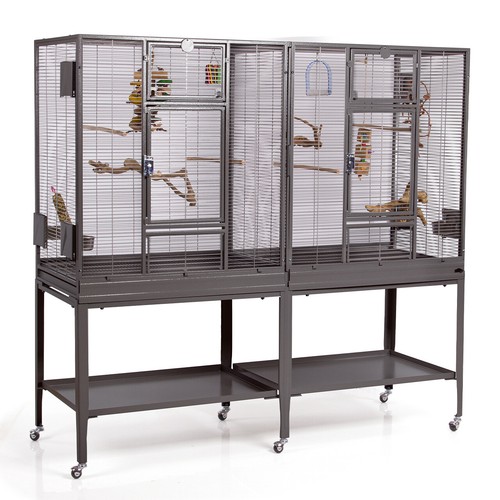 Montana cages new madeira - montana,