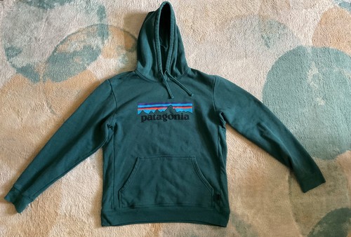 Patagonia hoodie - patagonia,