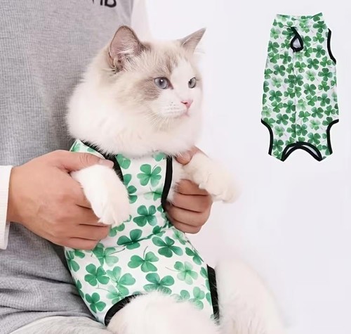 Gkatzen body schutz süß - gkatzen, op