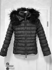 🌟 ELEVEN ELFS Luxus