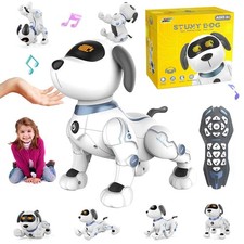 Ferngesteuerter roboter hund - roboter,