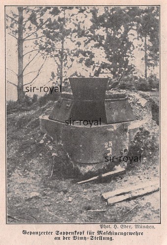Gepanzerter sappenkopf - gepanzerter,