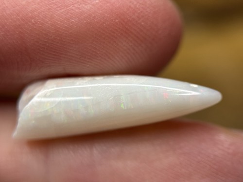 Coober pedy fossiler - pedy, opal