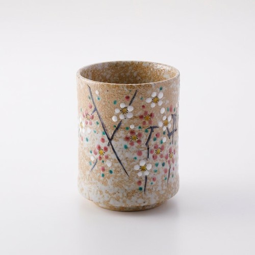 Kutani sushi yunomi teetasse - sushi,