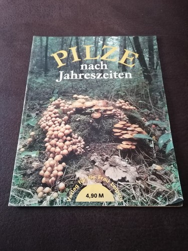 Pilze nach jahreszeiten - pilze,