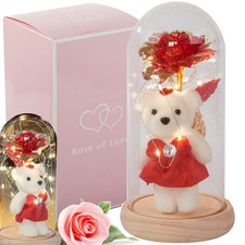 LED Rose im Glas mit Teddybär