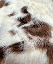 Sheep Dreams ® Echtes