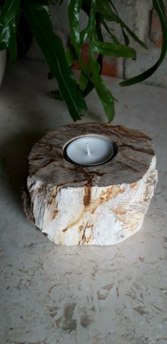 Fossil teelichthalter kerze - fossil,