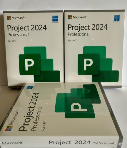 Microsoft project pro 2024 - pro, box