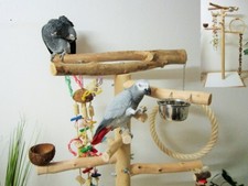 Freisitz für Papageien a