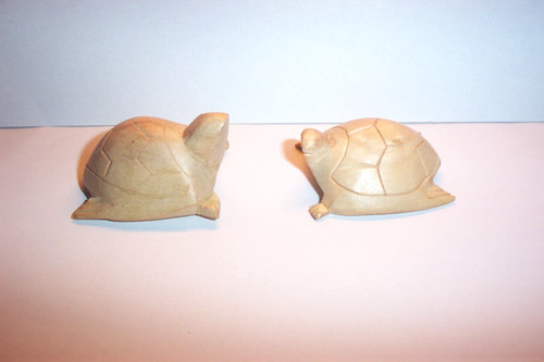 Süsse schildkröte - süsse,