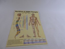 Vintage Meridiane & Dorn-Therapie   Schaubild 1986/87  ca. 60x40 cm