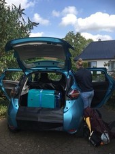 Schnäppchen für Hundehalter, Hatchbag (Kofferraumauskleidung) Renault Zoe