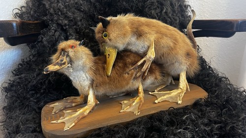 Wolpertinger