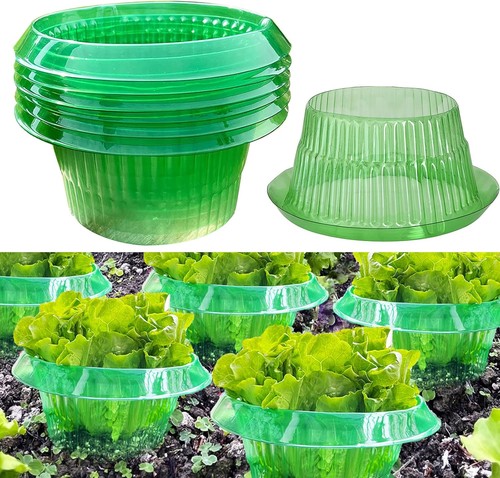 Schneckenkragen