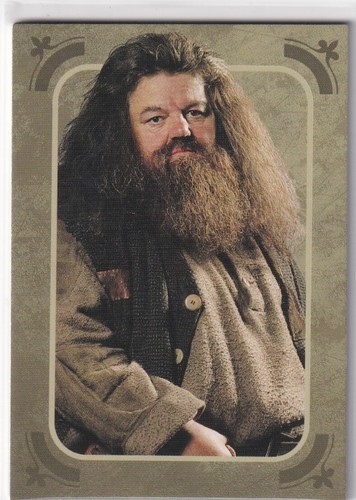 Panini harry potter evolution - harry,