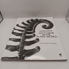 Art Forms In The Plant World