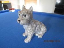 Scotch Cairn Terrier Hund Porzellan sehr alt absolut ausdruckstark 15 cm Amphora