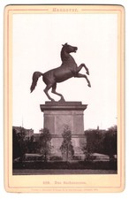 Fotografie Römmler & Jonas