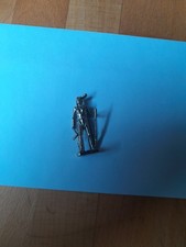 Berühmte Indianer Häuptlinge