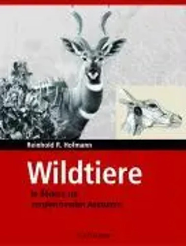 Wildtiere bildern zur - wildtiere,