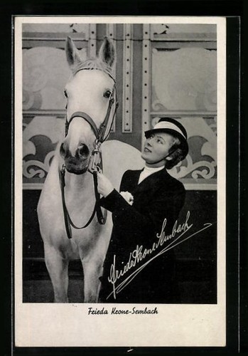 Ansichtskarte zirkus frieda - zirkus,