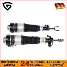 Federbein Luftfahrwerk