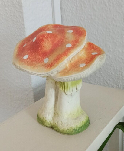 Schöner alter fliegenpilz - schöner,