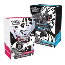 Pokemon Black Lightning &