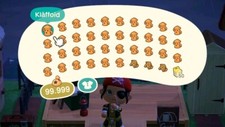 Animal Crossing New Horizons
