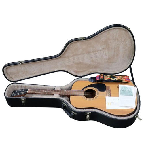 Akustikgitarre simon patrick - simon,