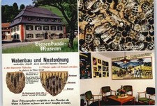 50711735 - 7816 Muenstertal Bienenkunde Museum
