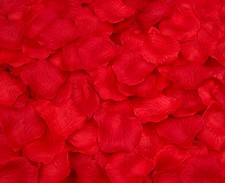 100 500 1000 Rote Rosenblätter Rosenblüten Liebe Valentinstag Rose Hochzeit