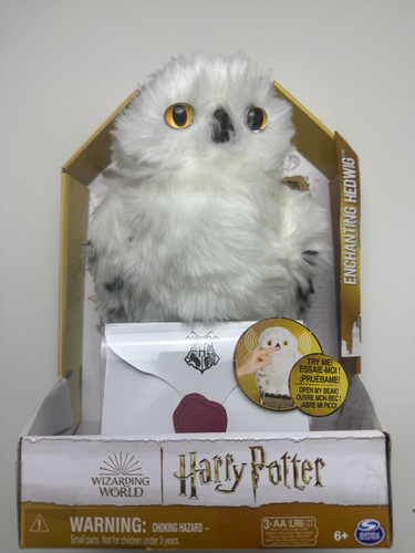 Harry potter hedwig - harry,