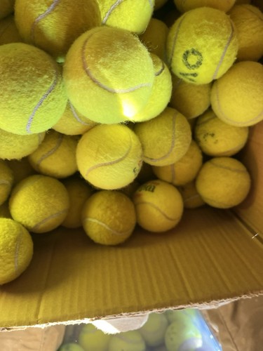 Gebrauchte tennisbälle - 30,