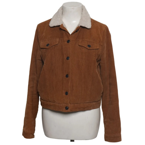 Pull bear gefütterte - bear,,
