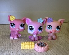 Littlest Pet Shop Schweine