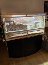 Terrarium-Set 150x60x80 cm