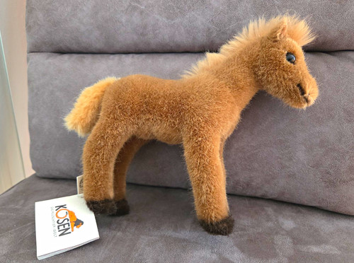 Kösen haflinger fohlen - kösen, pferd