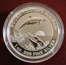 5 $ Dollar Rough-Toothed