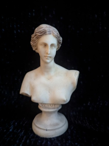 Venus milo bust - de,