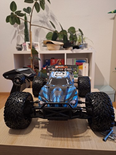 Models 3195 truggy - 3195, 5.1