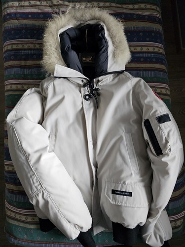 Canada goose chilliwack - goose,