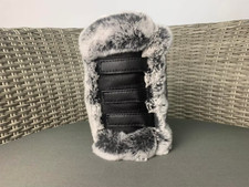 Rex Hase Röhre Chinchilla