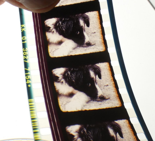 Kino spot 35mm - spot,
