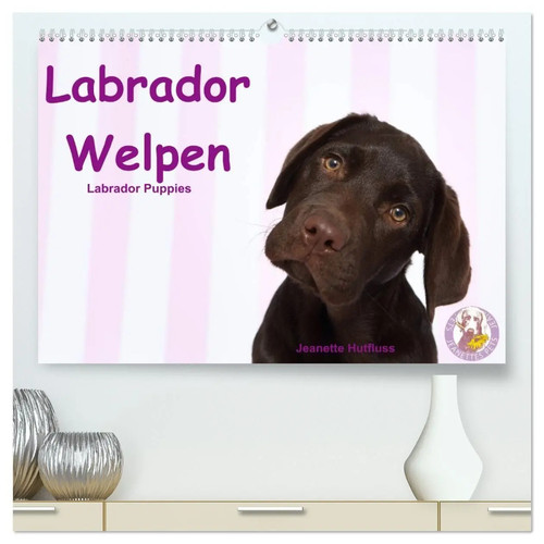Labrador welpen - labrador,