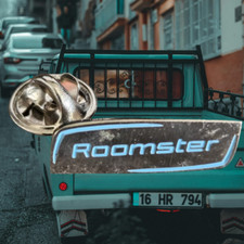 Sammler Pin - AUTO/KFZ - Skoda "Roomster" Logo