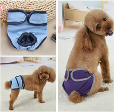 Schutzhöschen Hund Hündin