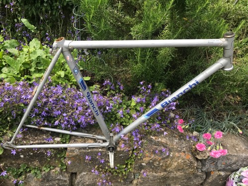 BIANCHI.Fahrradrahmen